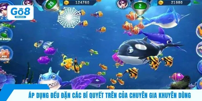 Áp dụng đều đặn các bí quyết trên của chuyên gia khuyên dùng